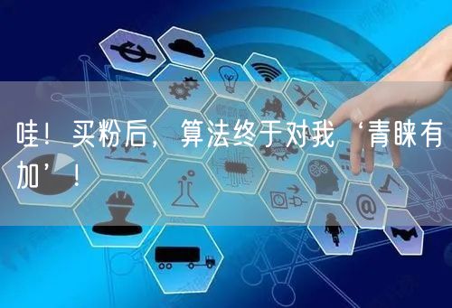 哇！买粉后，算法终于对我‘青睐有加’！