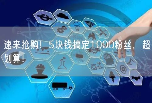 速来抢购！5块钱搞定1000粉丝，超划算！