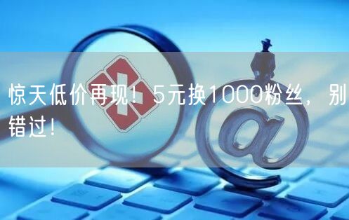 惊天低价再现！5元换1000粉丝，别错过