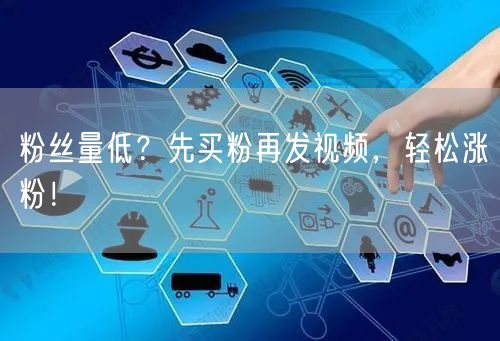 粉丝量低？先买粉再发视频，轻松涨粉！