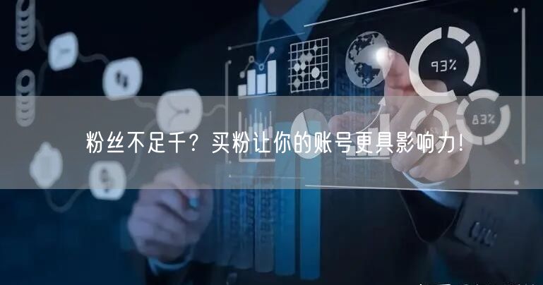 粉丝不足千？买粉让你的账号更具影响力！