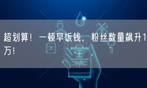 超划算！一顿早饭钱，粉丝数量飙升1万！