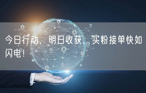 今日行动，明日收获，买粉接单快如闪电！