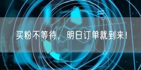 买粉不等待，明日订单就到来！