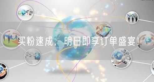 买粉速成，明日即享订单盛宴！