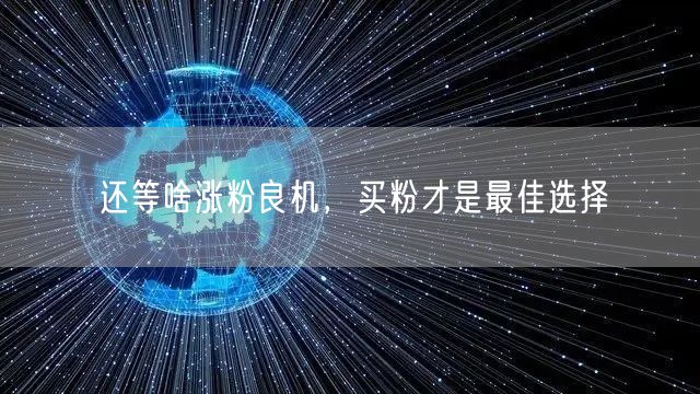 还等啥涨粉良机，买粉才是最佳选择