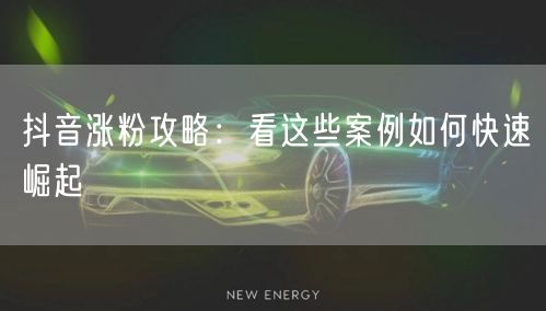 抖音涨粉攻略：看这些案例如何快速崛起