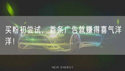 买粉初尝试，首条广告就赚得喜气洋洋！