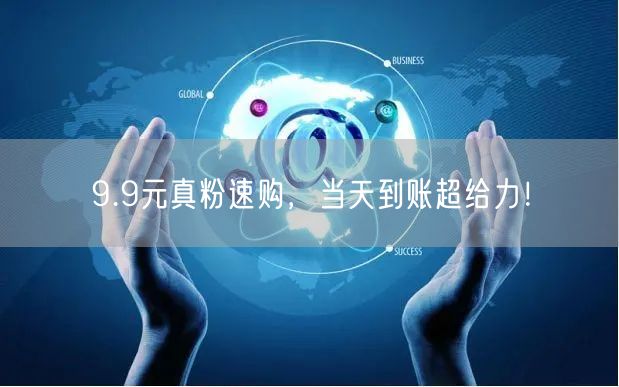 9.9元真粉速购，当天到账超给力！