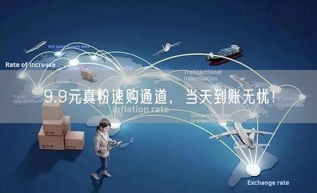 9.9元真粉速购通道，当天到账无忧！