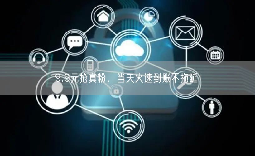 9.9元抢真粉，当天火速到账不拖延！