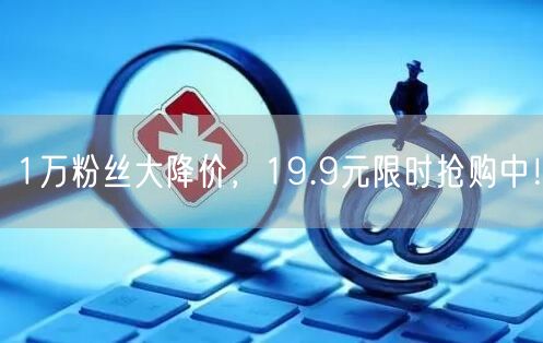 1万粉丝大降价，19.9元限时抢购中！