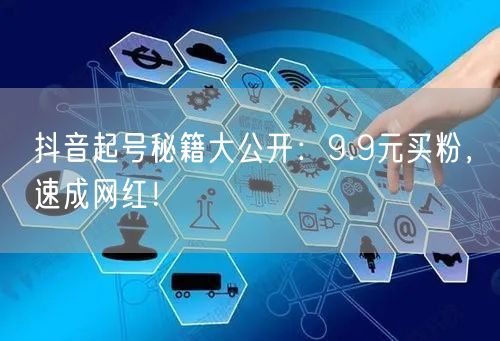 抖音起号秘籍大公开：9.9元买粉，速成网
