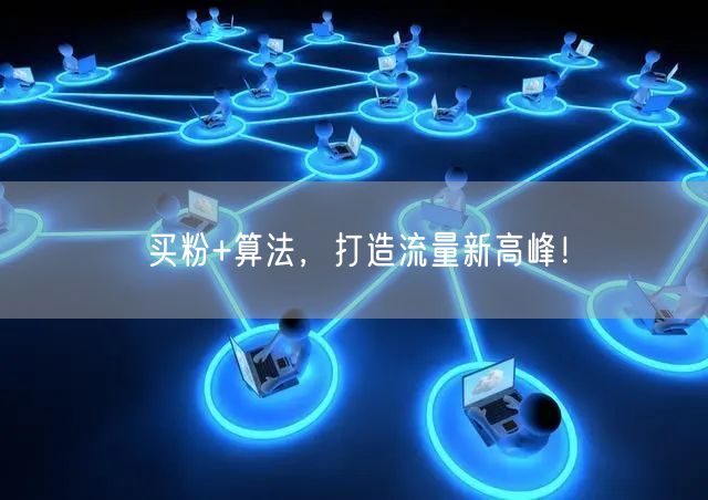 买粉+算法，打造流量新高峰！