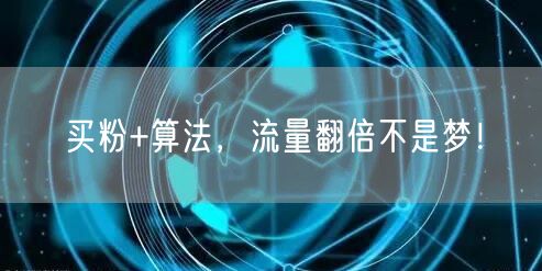 买粉+算法，流量翻倍不是梦！