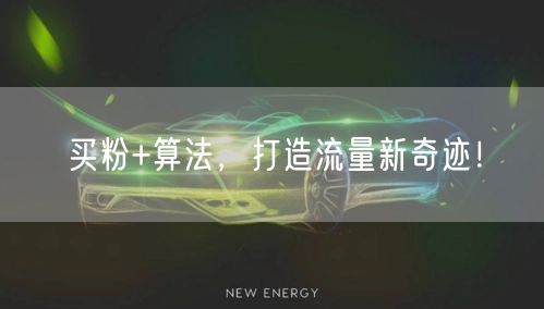 买粉+算法，打造流量新奇迹！