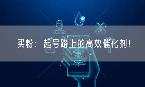 买粉：起号路上的高效催化剂！