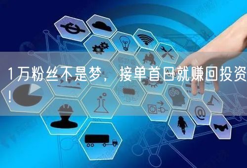 1万粉丝不是梦，接单首日就赚回投资！