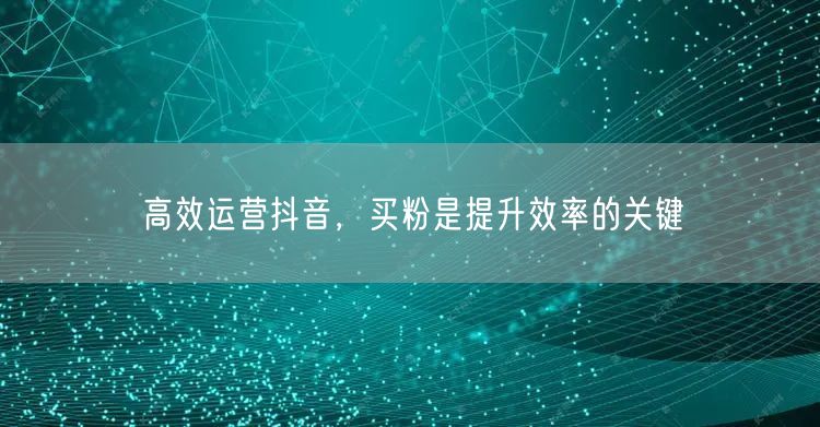 高效运营抖音，买粉是提升效率的关键