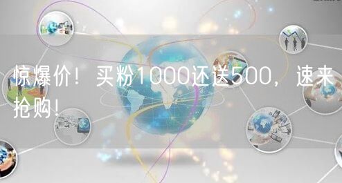 惊爆价！买粉1000还送500，速来抢购
