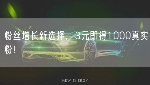 粉丝增长新选择，3元即得1000真实粉！