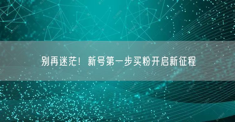 别再迷茫！新号第一步买粉开启新征程