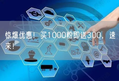 惊爆优惠！买1000粉即送300，速来！