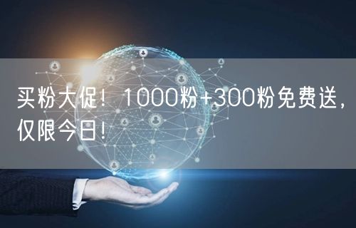买粉大促！1000粉+300粉免费送，仅限今日！