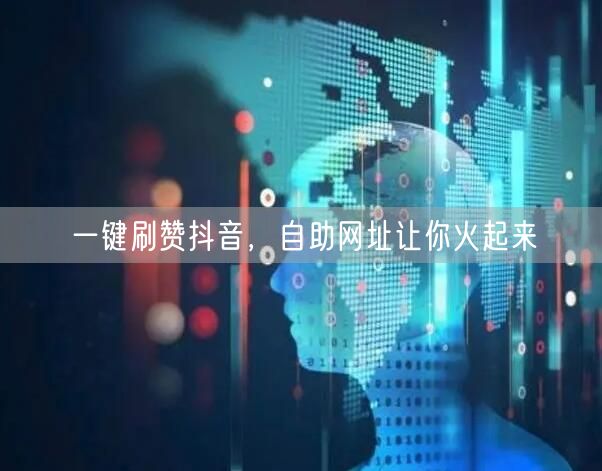 一键刷赞抖音，自助网址让你火起来