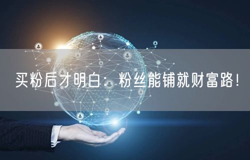 买粉后才明白：粉丝能铺就财富路！