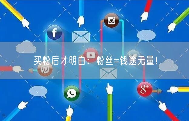 买粉后才明白：粉丝=钱途无量！