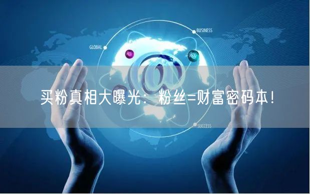 买粉真相大曝光：粉丝=财富密码本！