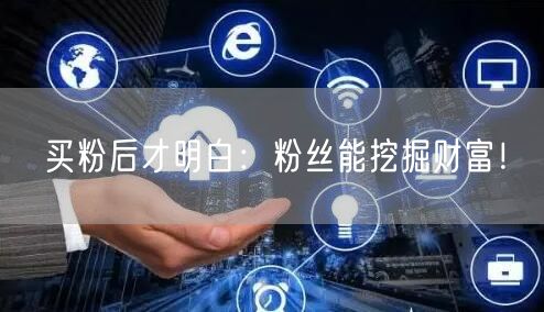 买粉后才明白：粉丝能挖掘财富！