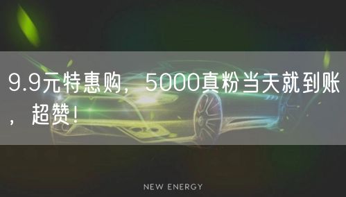 9.9元特惠购，5000真粉当天就到账，
