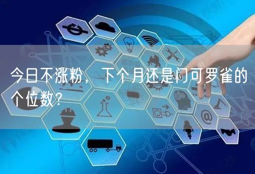 今日不涨粉，下个月还是门可罗雀的个位数？
