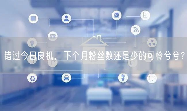 错过今日良机，下个月粉丝数还是少的可怜兮