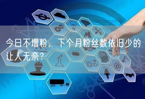 今日不增粉，下个月粉丝数依旧少的让人无奈