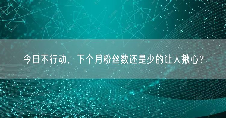 今日不行动，下个月粉丝数还是少的让人揪心？