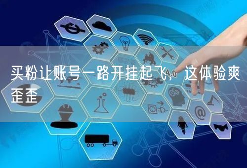 买粉让账号一路开挂起飞，这体验爽歪歪