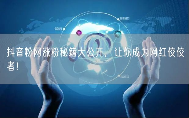 抖音粉网涨粉秘籍大公开，让你成为网红佼佼者！