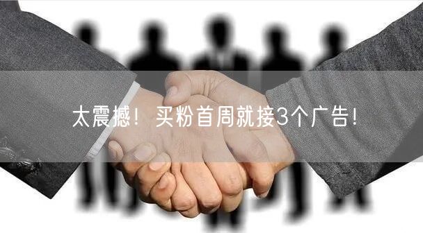太震撼！买粉首周就接3个广告！