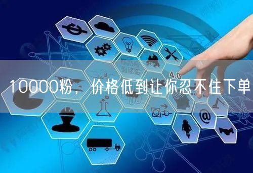10000粉，价格低到让你忍不住下单