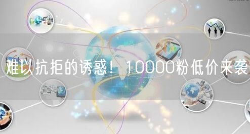 难以抗拒的诱惑！10000粉低价来袭
