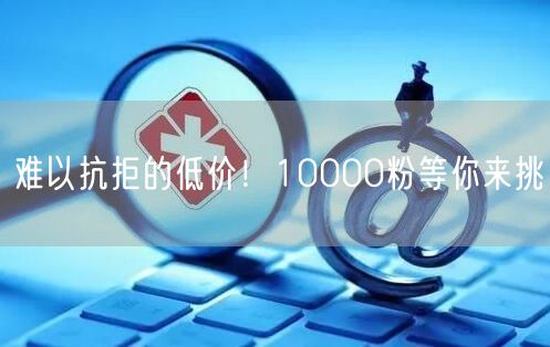 难以抗拒的低价！10000粉等你来挑