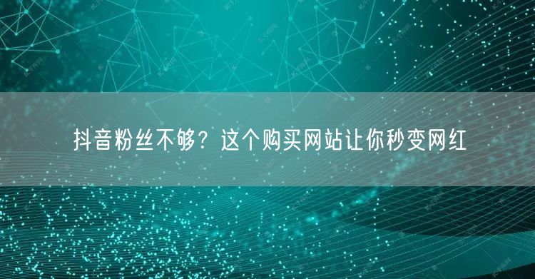 抖音粉丝不够？这个购买网站让你秒变网红
