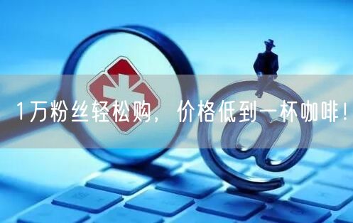 1万粉丝轻松购,价格低到一杯咖啡!