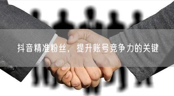 抖音精准粉丝，提升账号竞争力的关键